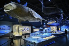 海洋博物馆设计中多媒体的应用需要注意什么