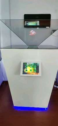 上海市闵行区七宝明强第二小学上海明强二小科技展厅 昆虫全息展示系统 — 上海市闵行区七宝明强第二小学 数字展厅项目