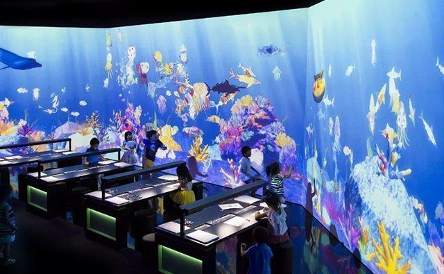 海洋馆